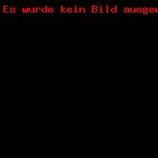 2017-11-15-Headlne-Baumwipfelpfad