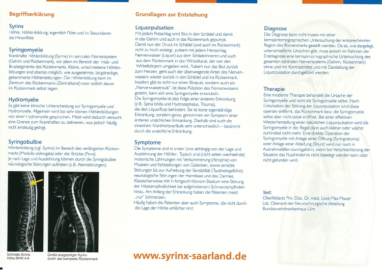 Syrinx Saarland Flyer